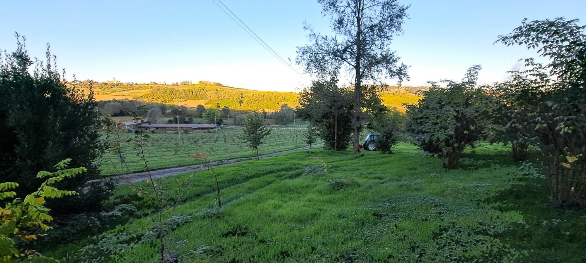 הוילה Alfiano Natta Cascina Fazioli מראה חיצוני תמונה