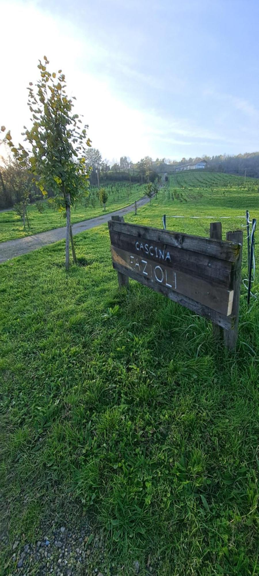 הוילה Alfiano Natta Cascina Fazioli מראה חיצוני תמונה