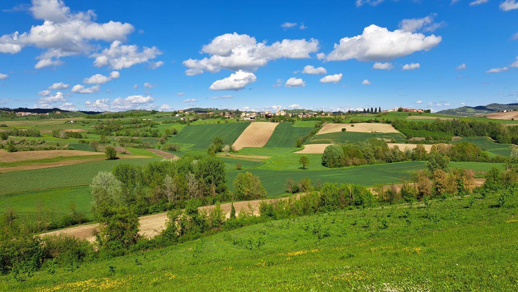הוילה Alfiano Natta Cascina Fazioli מראה חיצוני תמונה